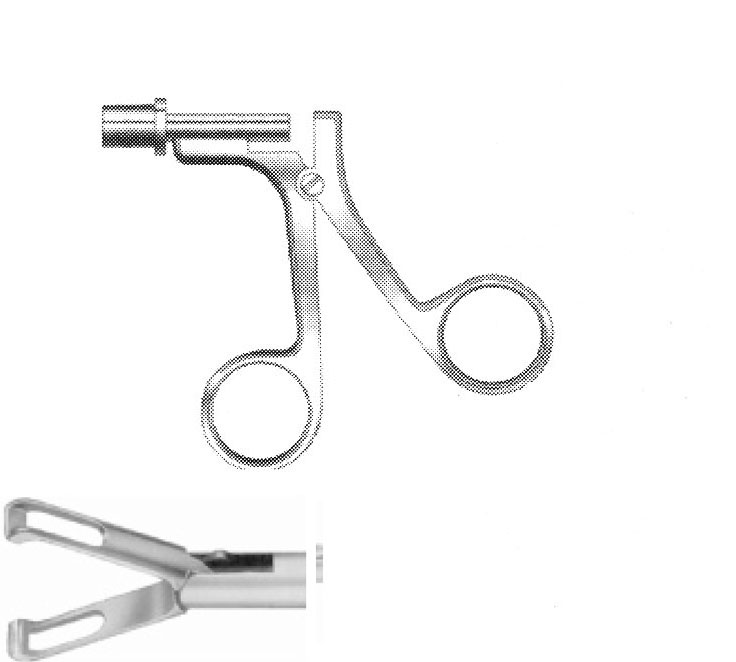 BABCOCK KLEMP ÇAP  10 MM